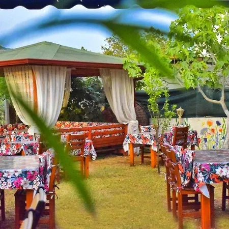 Elit Deniz Palamutbükü