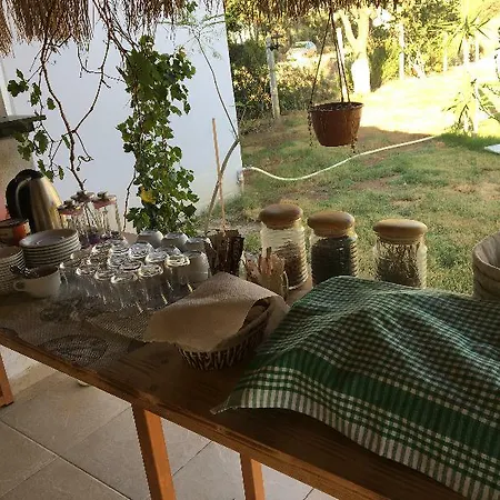 Hotel Elit Deniz Palamutbuekue 3*